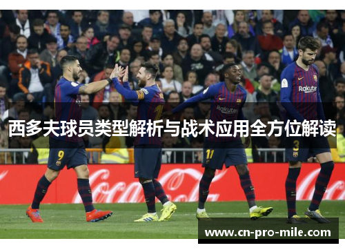 西多夫球员类型解析与战术应用全方位解读