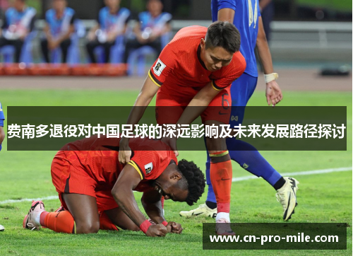 费南多退役对中国足球的深远影响及未来发展路径探讨 费南多退役对中国足球的深远影响及未来发展路径探讨