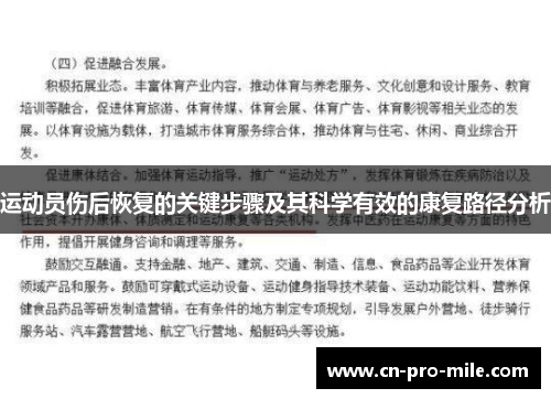 运动员伤后恢复的关键步骤及其科学有效的康复路径分析