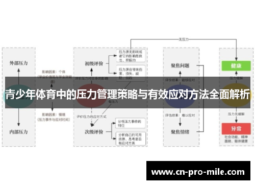 青少年体育中的压力管理策略与有效应对方法全面解析