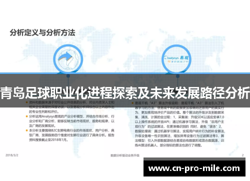 青岛足球职业化进程探索及未来发展路径分析 青岛足球职业化进程探索及未来发展路径分析