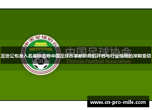 足协公布准入名单标志着中国足球改革新阶段的开启与行业格局的深刻变动