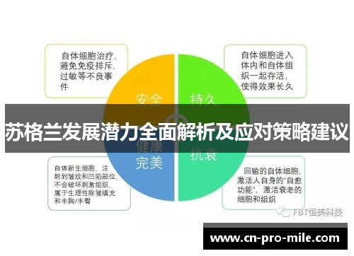 苏格兰发展潜力全面解析及应对策略建议 苏格兰发展潜力全面解析及应对策略建议
